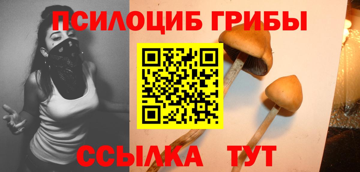Малоярославец  Галлюциногенные грибы GOLDEN TEACHER  где найти наркотики  Вход с VPN 